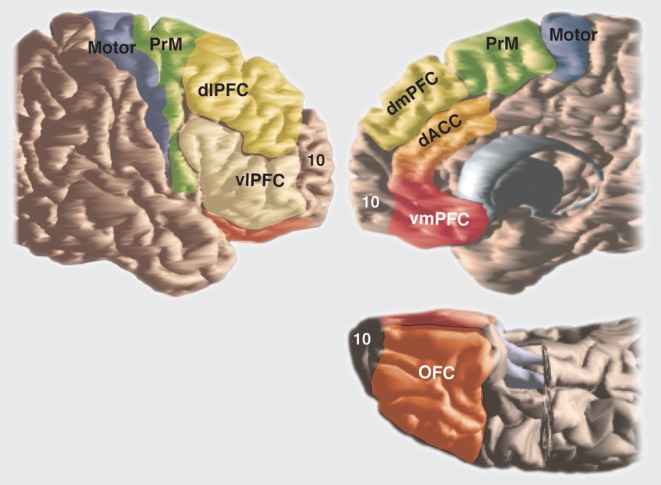 Figure 2.