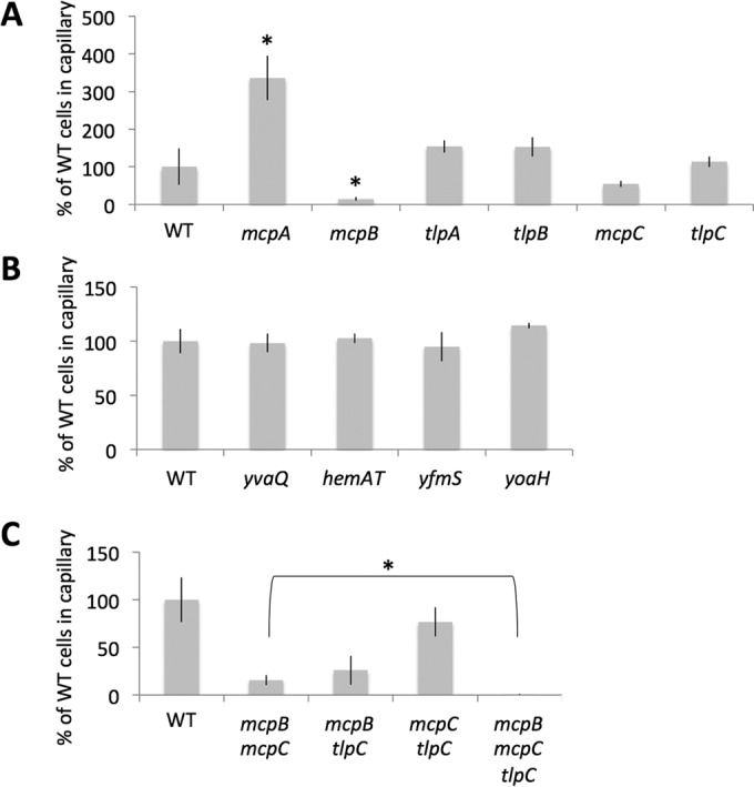 FIG 3 