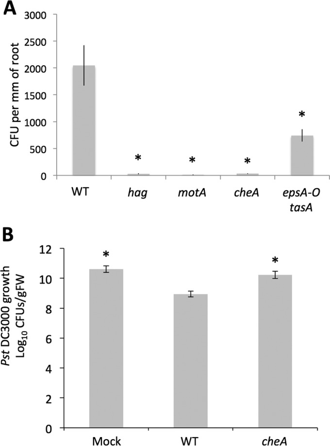 FIG 2 