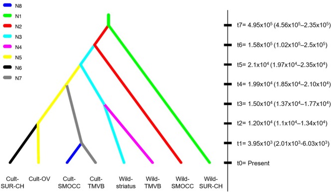 FIGURE 4