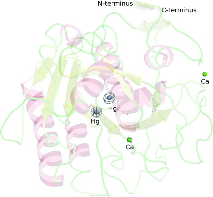 Figure 4