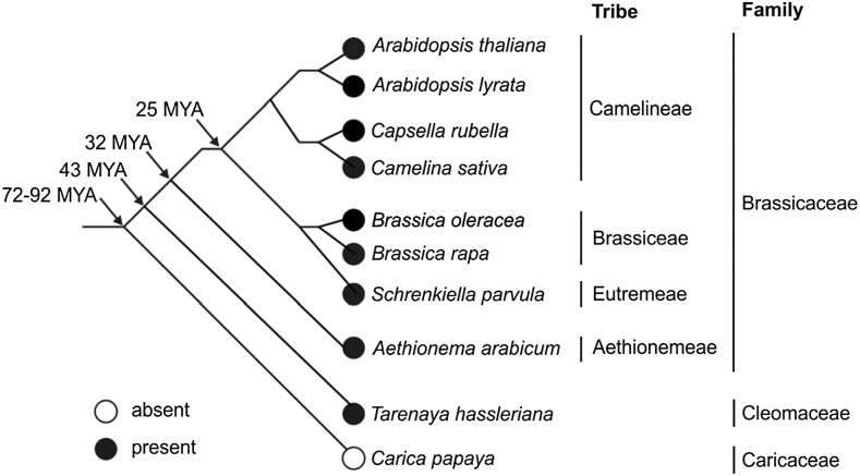 Figure 9.