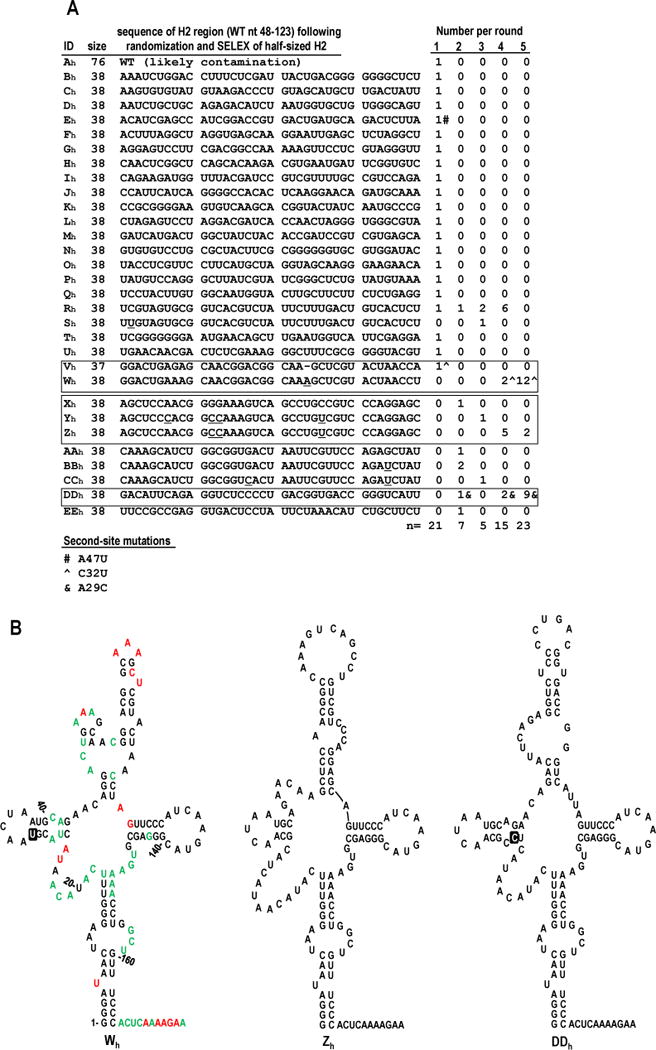 FIG. 4