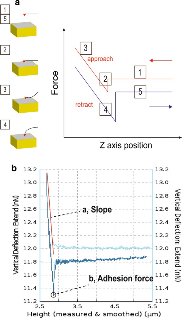 Fig. 2