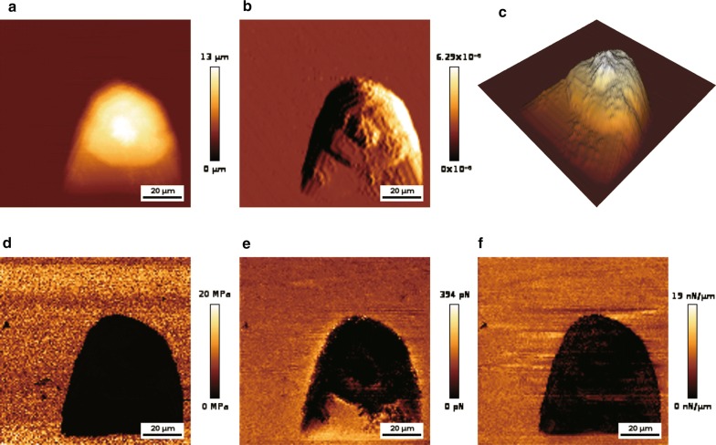 Fig. 4