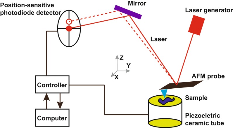 Fig. 1