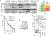 Extended Data Figure 4.