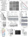 Extended Data Figure 1.