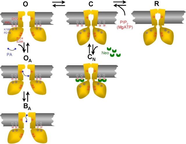 Figure 7.