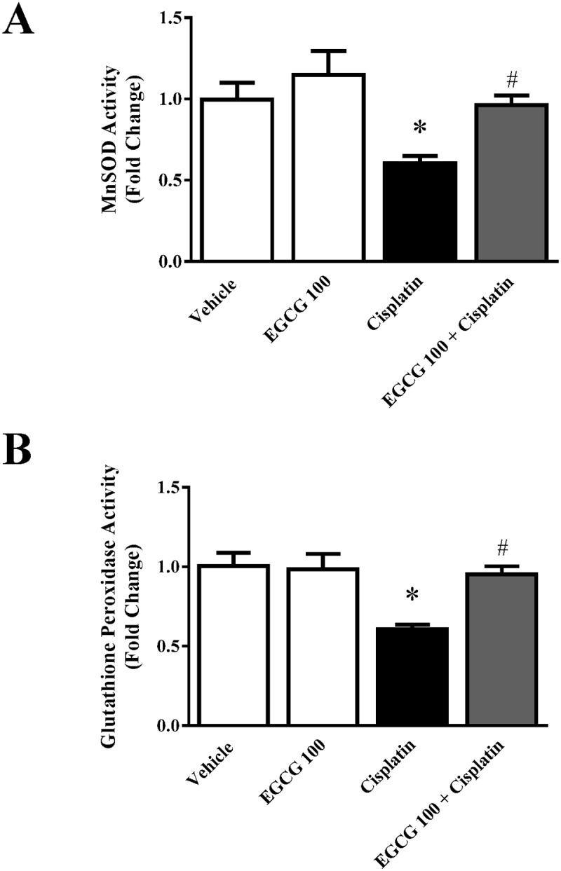 Fig 5