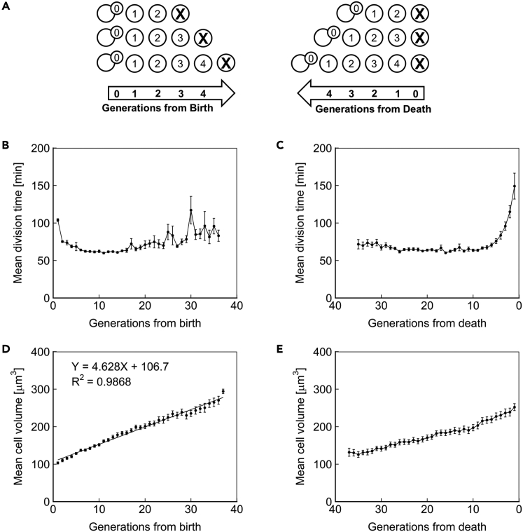 Figure 2