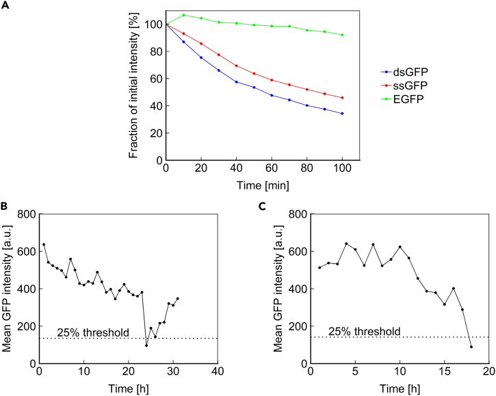 Figure 3