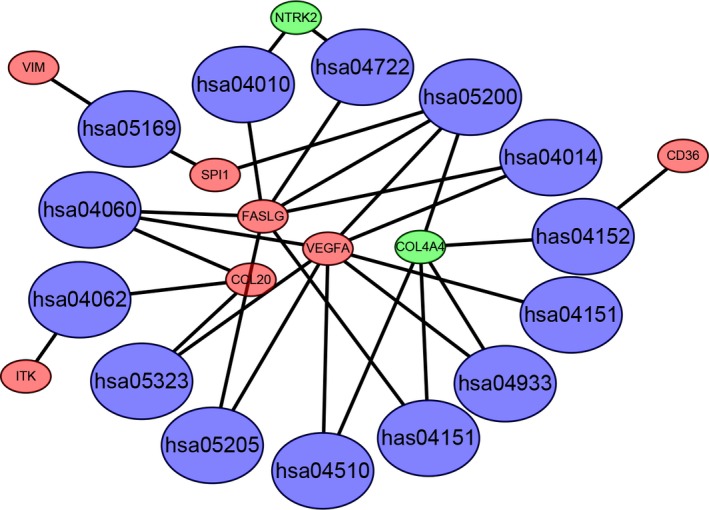 Figure 5