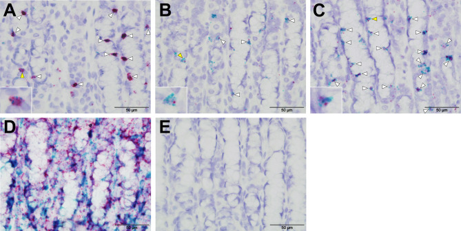 Figure 7