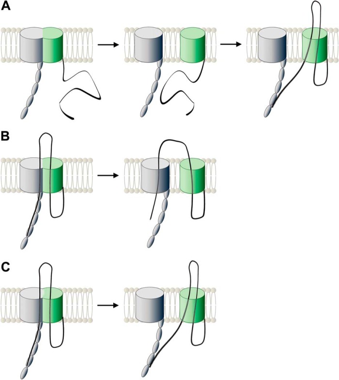 FIGURE 10.