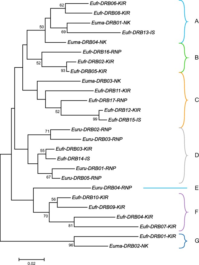 Fig. 2