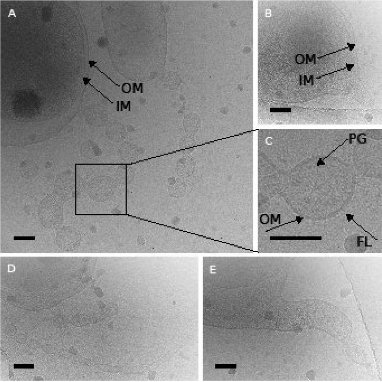 FIG 3