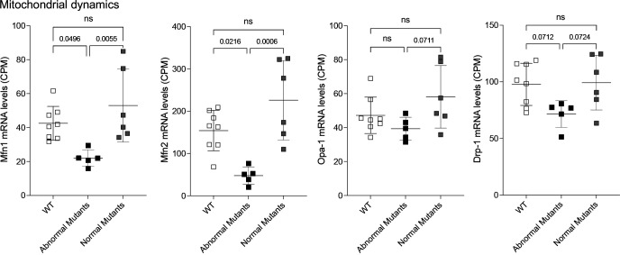 Figure 5—figure supplement 2.