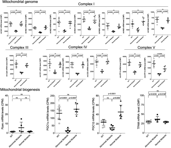 Figure 5—figure supplement 1.