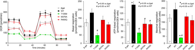 Figure 6—figure supplement 2.