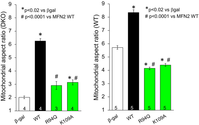 Figure 1—figure supplement 1.