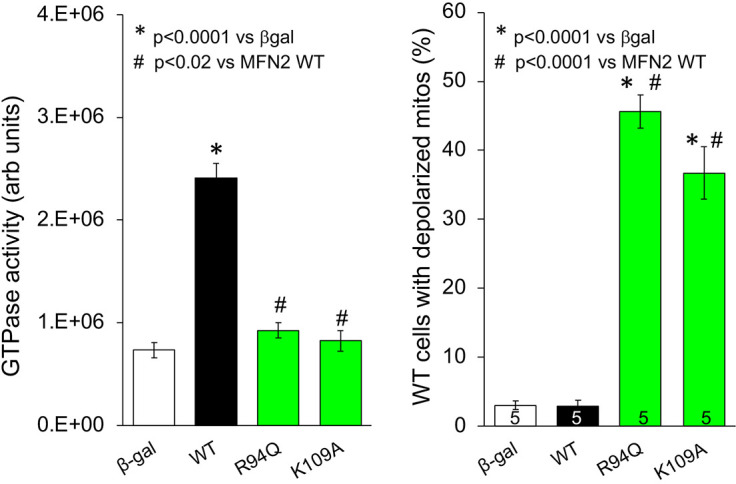 Figure 2—figure supplement 1.