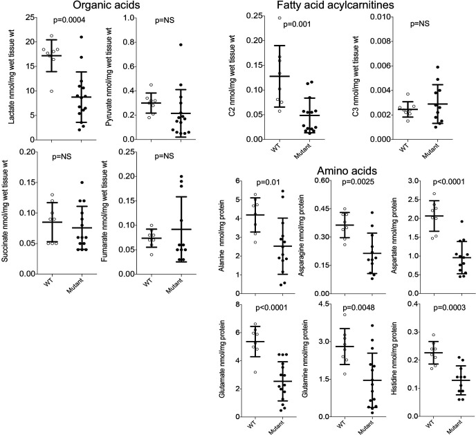 Figure 5—figure supplement 3.