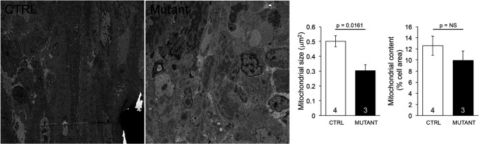 Figure 4—figure supplement 2.