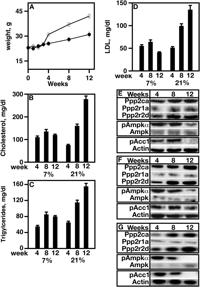 FIGURE 10.