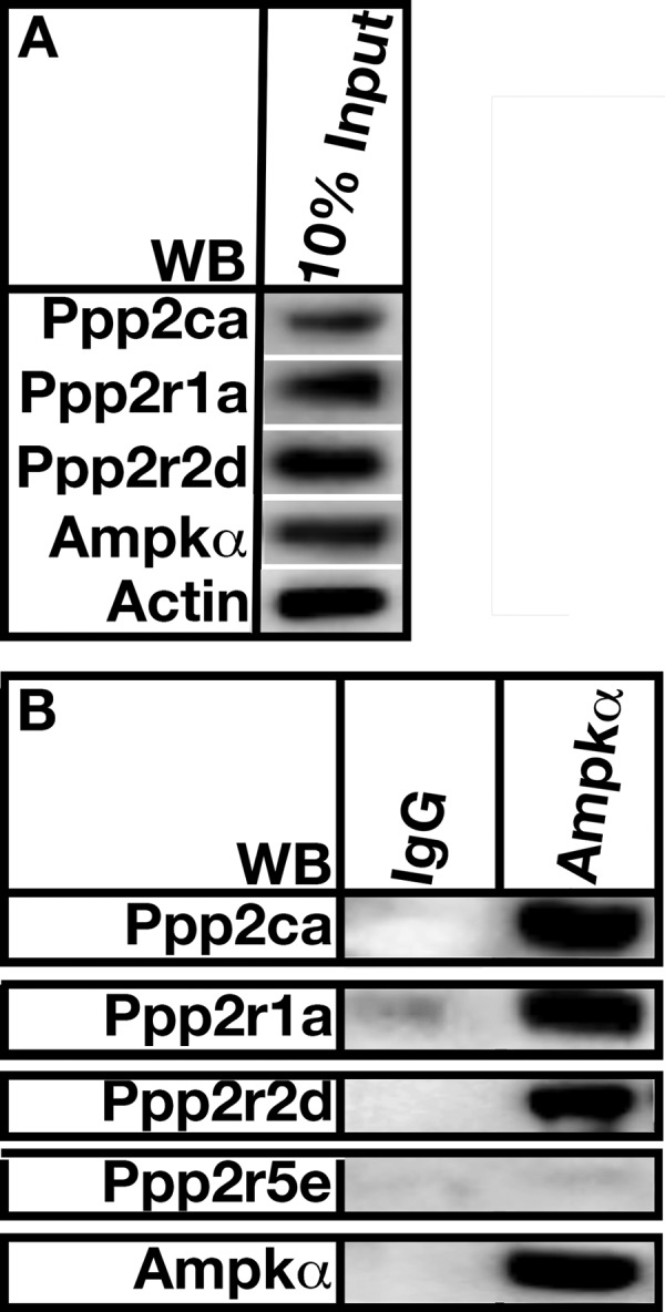 FIGURE 11.