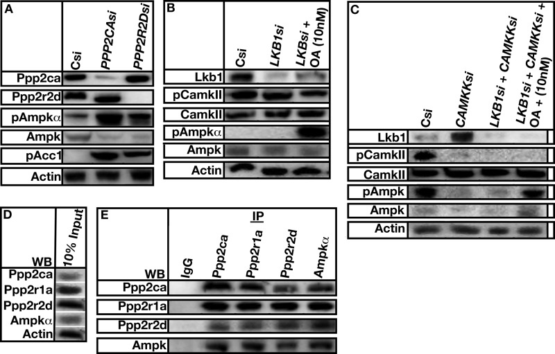 FIGURE 9.