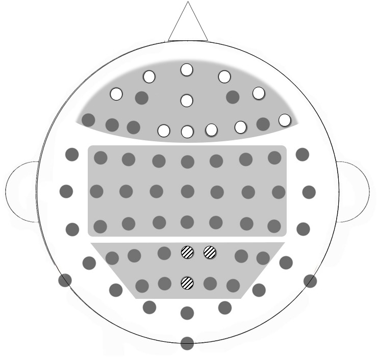 Figure 2—figure supplement 1.