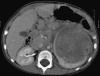 Fig. 8