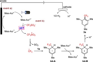 Scheme 7