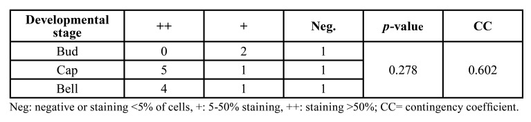 graphic file with name medoral-27-e403-t003.jpg