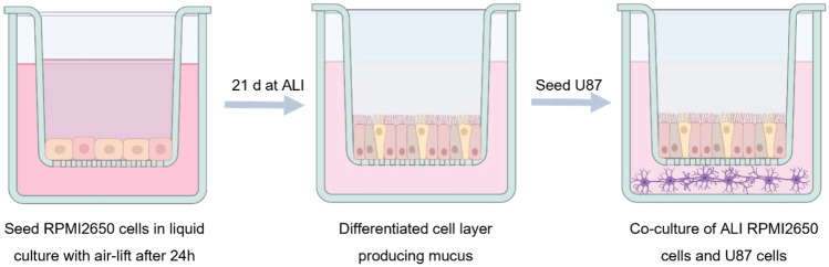 Fig. 9