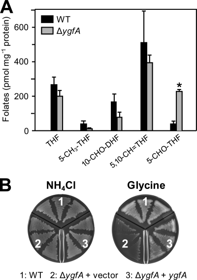 FIGURE 3.