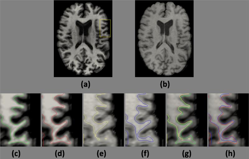 Figure 7