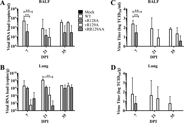 FIG 6