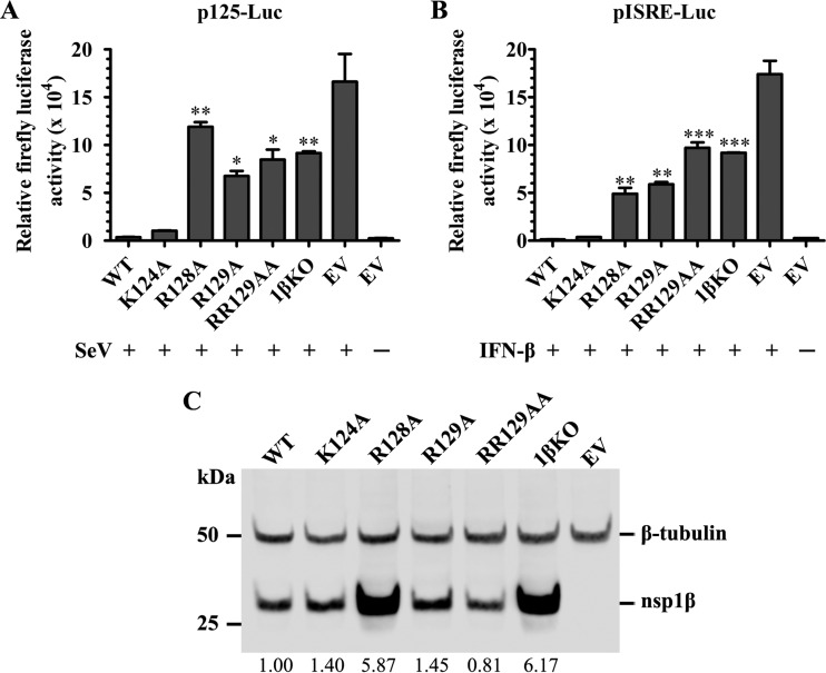 FIG 1