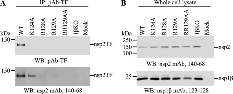 FIG 2