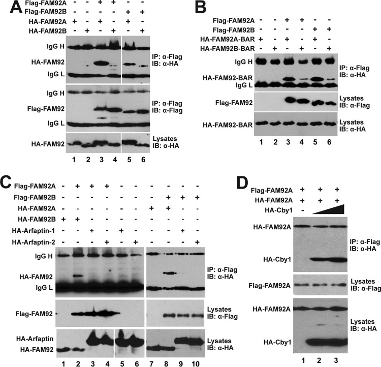 FIG 2