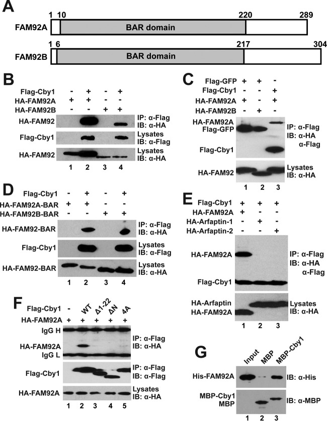 FIG 1