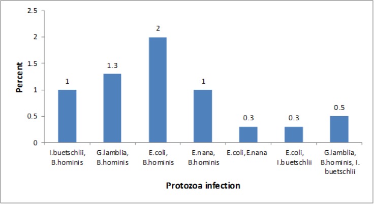 Fig. 1: