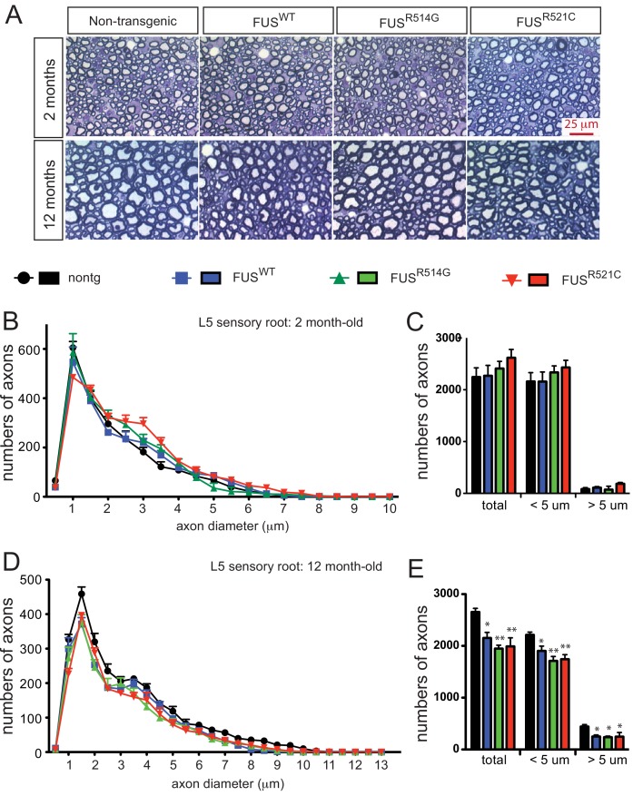 Figure 2—figure supplement 2.