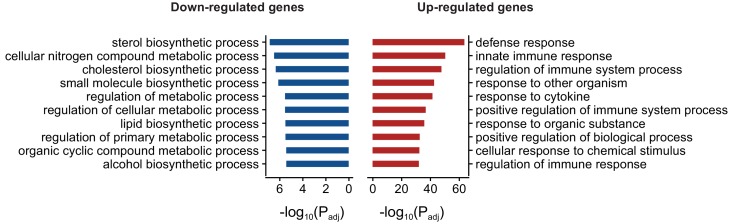 Figure 6—figure supplement 2.