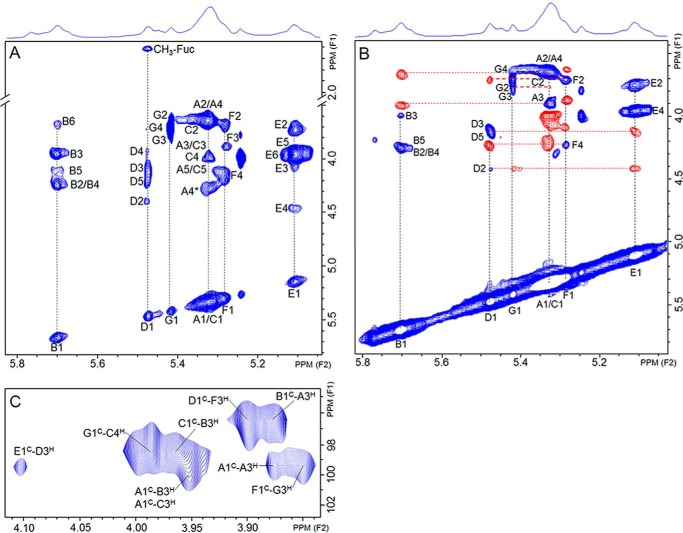 FIGURE 3.