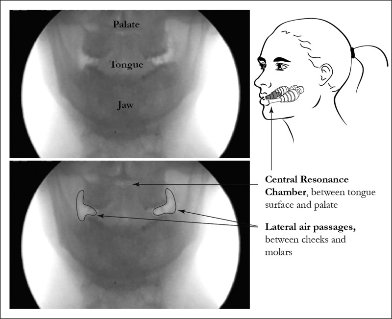 Fig. 3.