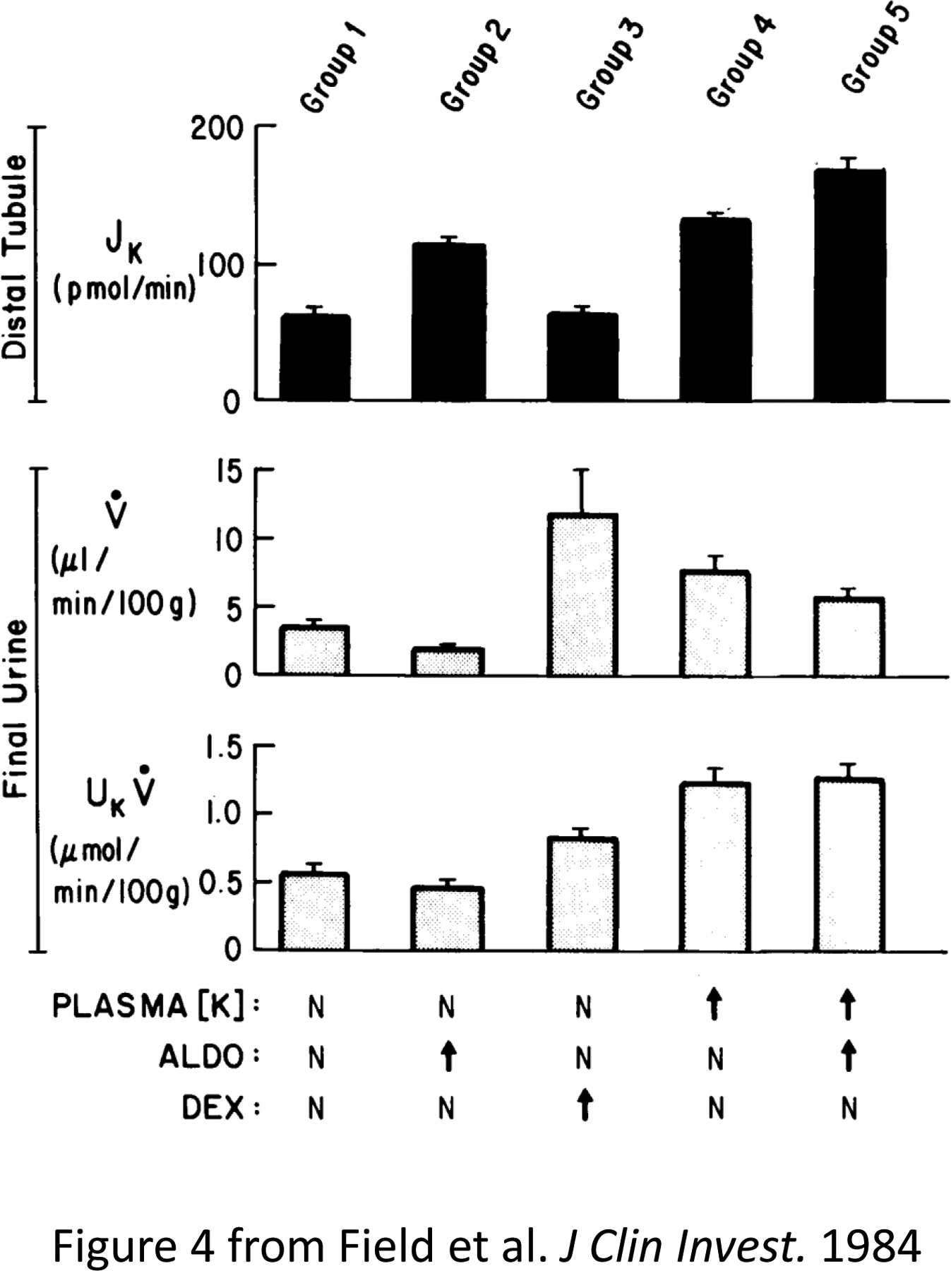 Figure 11.