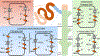 Figure 5: